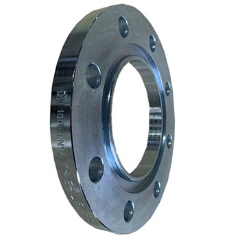 WN Stainless Steel Weld Neck Flange (A182 F304H، F316H، F317) 